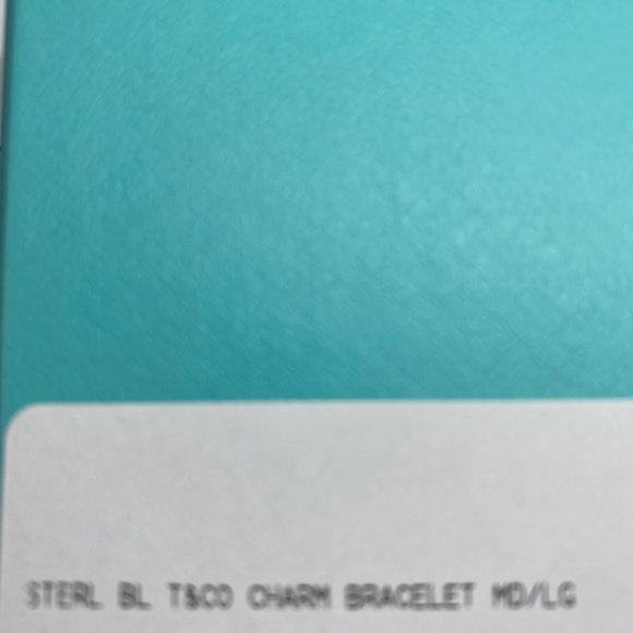 NWT Tiffany & Co. Sterling Silver Letter Charm Bracelet Blue Enamel RETIRED - Picture 5 of 6